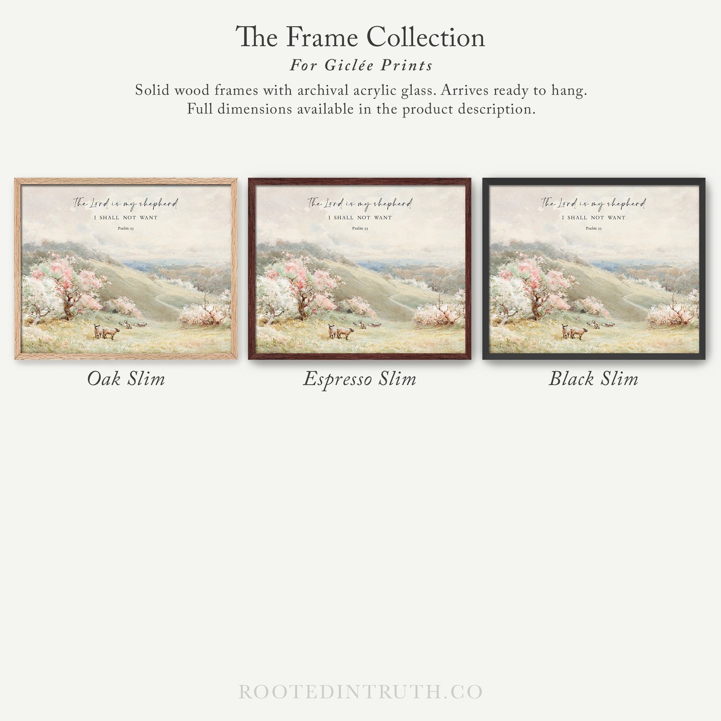 The image is a collection of three framed prints, each with a different color and style, showcasing the variety of options available for purchasing.