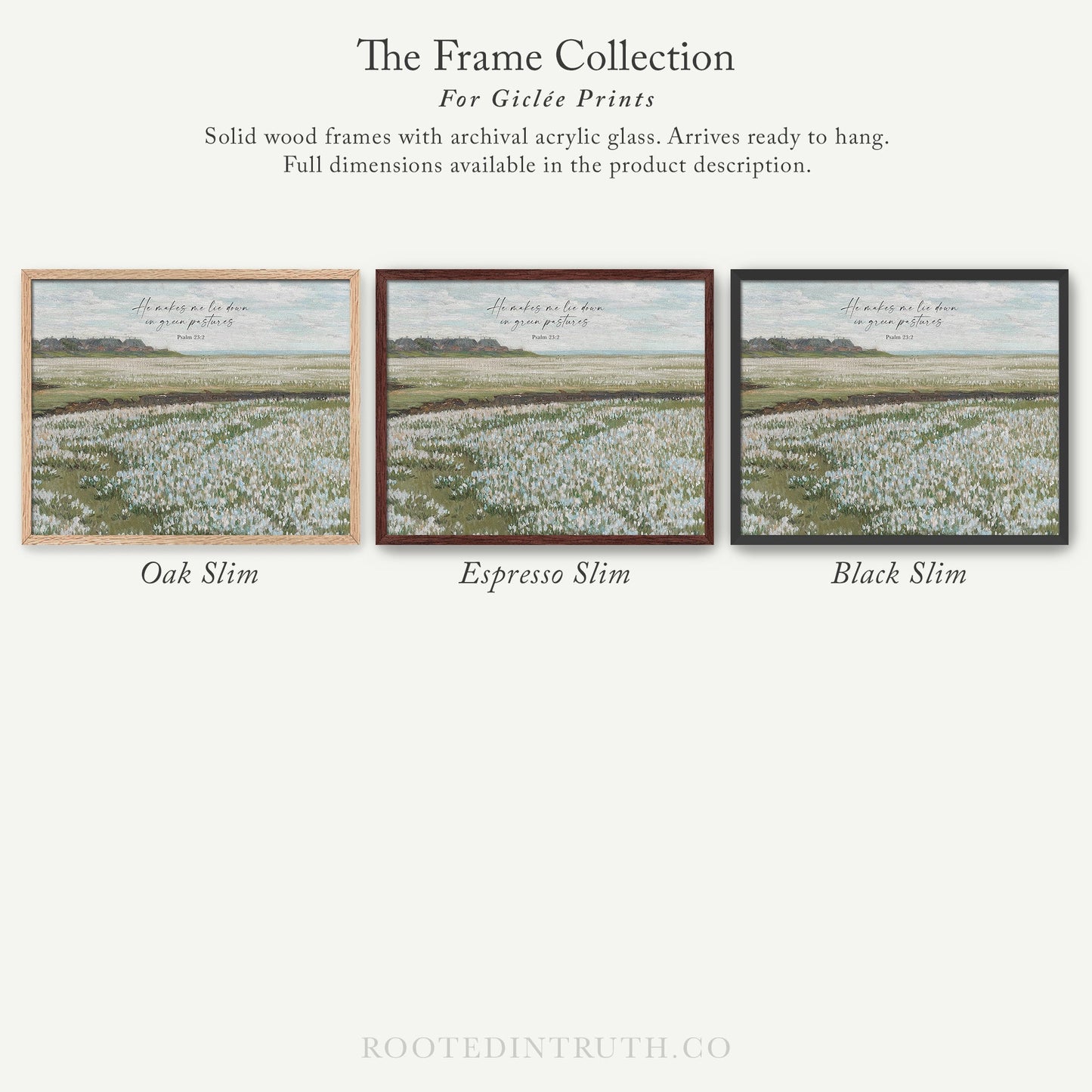 three framed pictures of a field of flowers