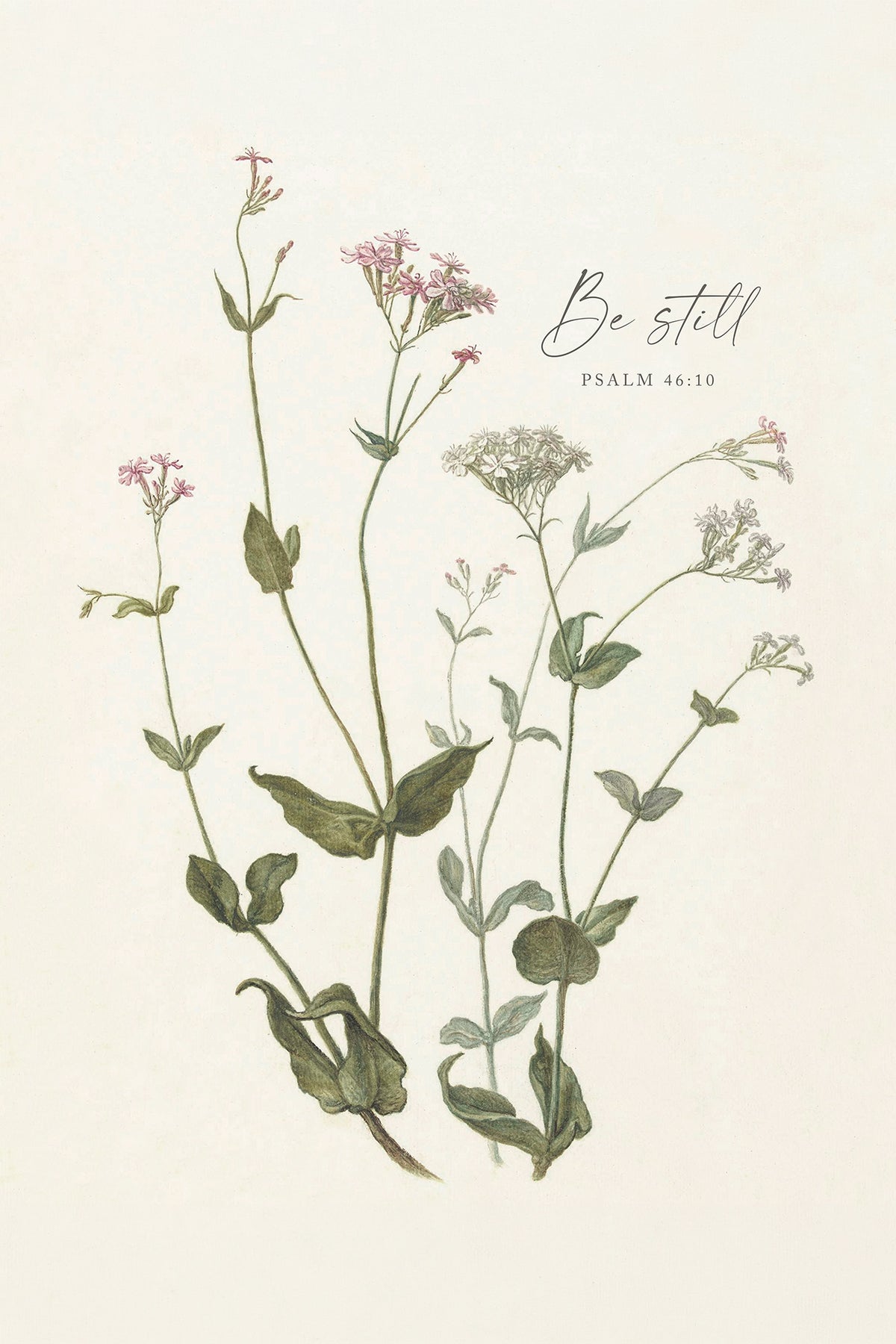 Be Still Botanical Art Print & Canvas
