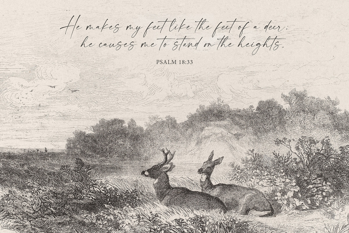 Feet Like a Deer Art Print & Canvas