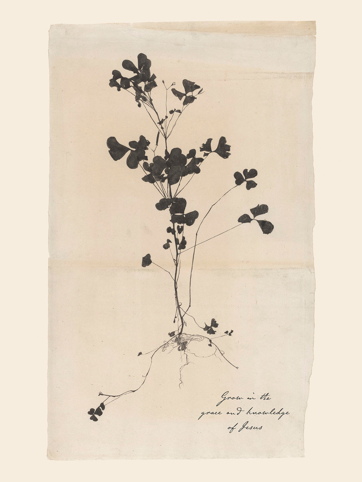 Grow in Grace Art Print & Canvas