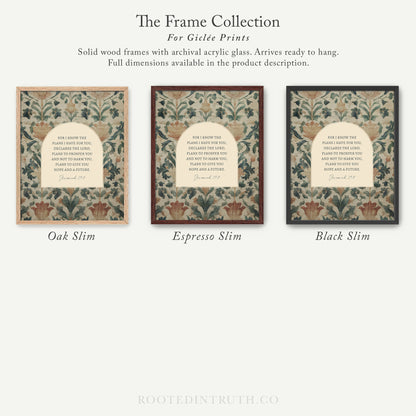The image is a collection of three framed prints, each with a different color and design, arranged in a row.