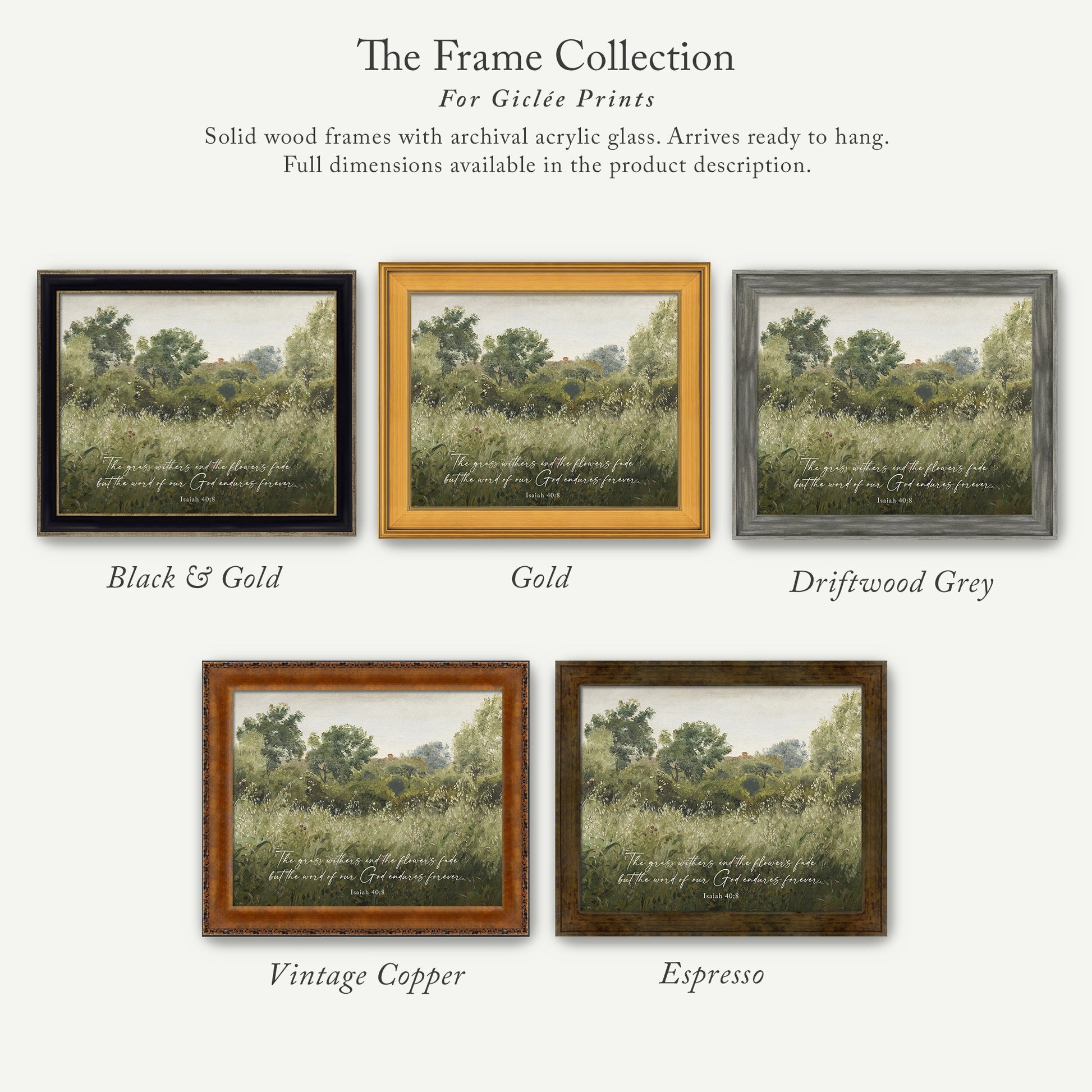 The image is a collection of five framed prints, each with a different color and frame style, showcasing various landscapes and scenes.