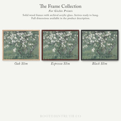 The image is a collection of three framed prints, each with a different color and style, showcasing the variety of options available for purchasing.