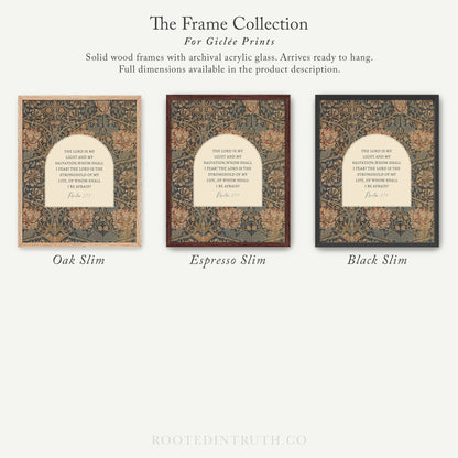 The image is a collection of three framed prints, each with a different color and design, arranged in a row.