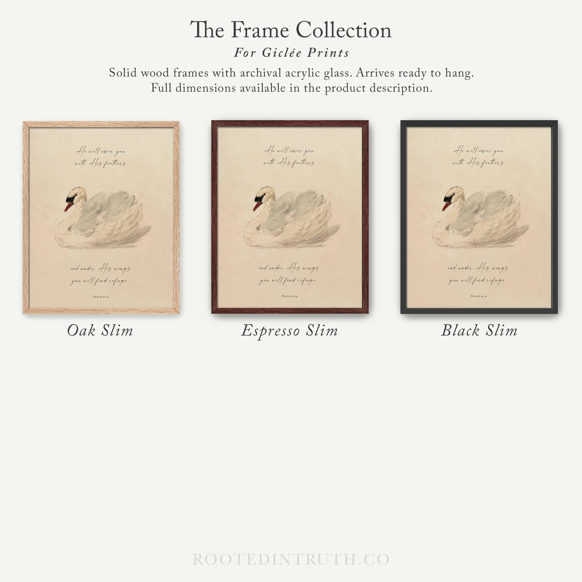 The image is a collection of three framed prints featuring a swan illustration. The swan is depicted in different shades of brown, and the frames are described as solid wood with archival acrylic glass, arriving ready to hang. The full dimensions of the prints are provided in the product description.