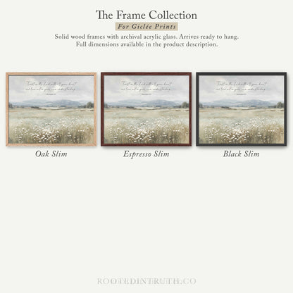 The image is a collection of three framed prints, each depicting a different landscape scene. The prints are solid wood frames with archival acrylic glass, which are ready to hang and provide full dimensions in the product description.