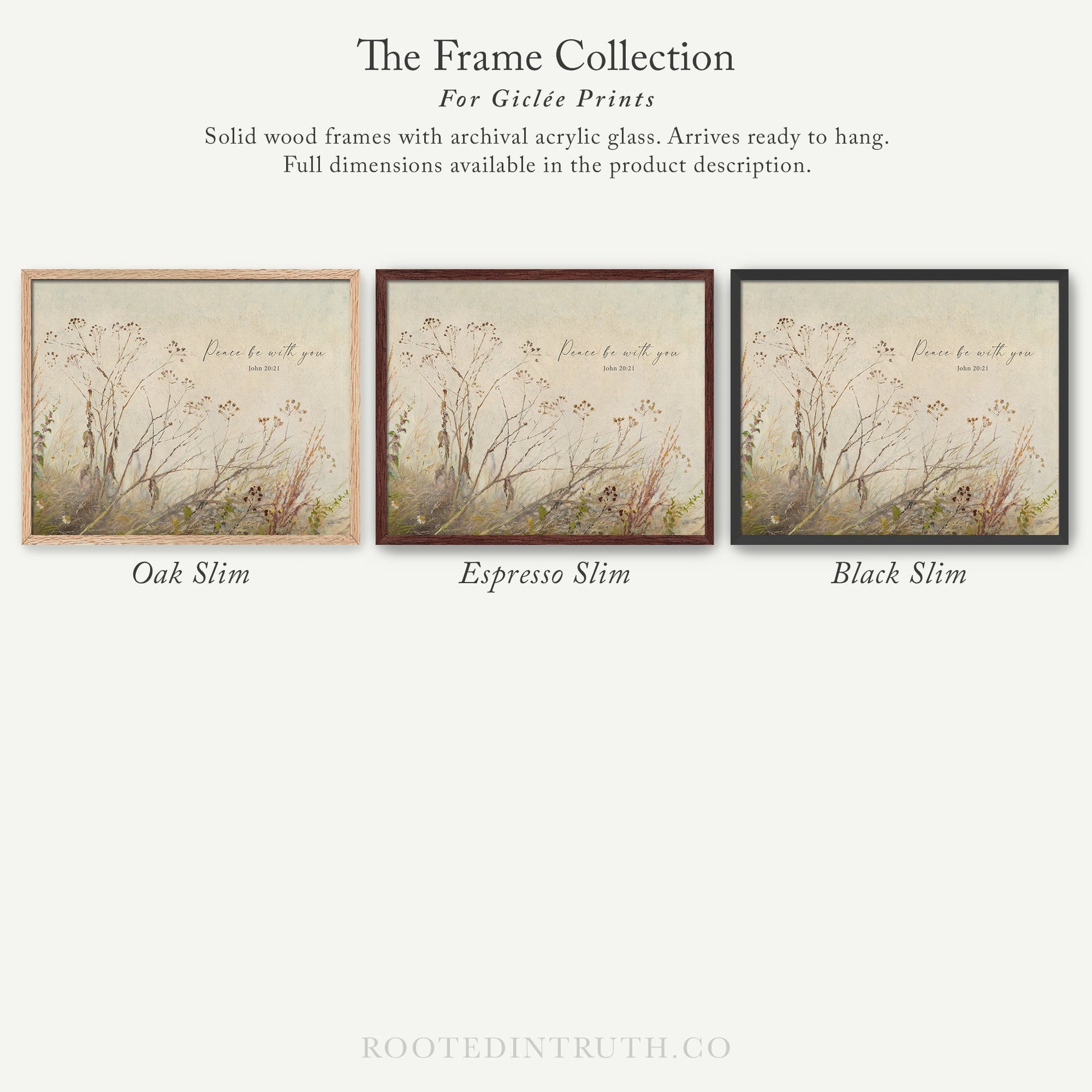 The image is a collection of three framed prints, each with a different color and style, showcasing the variety of options available for Giraffe Prints.