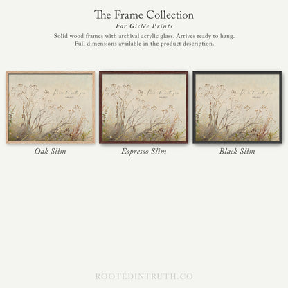 The image is a collection of three framed prints, each with a different color and style, showcasing the variety of options available for Giraffe Prints.