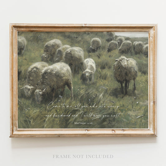 Come to Me, a bible verse of Matthew 11:28 in a vintage oil painting of sheep in a field