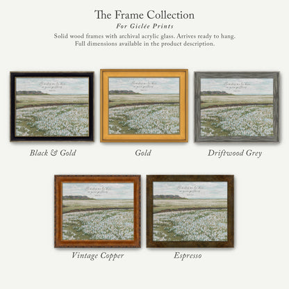 The image is a collection of five framed prints, each with a different color and frame style, showcasing various landscapes and scenes.