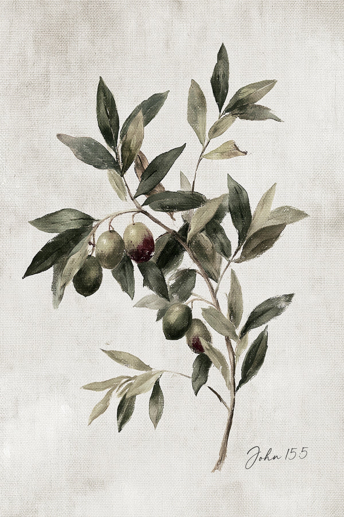 a branch with green leaves and two round fruits, possibly olives, growing on it.