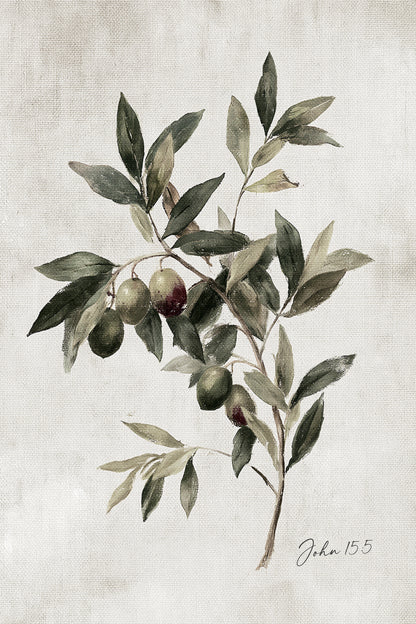 a branch with green leaves and two round fruits, possibly olives, growing on it.