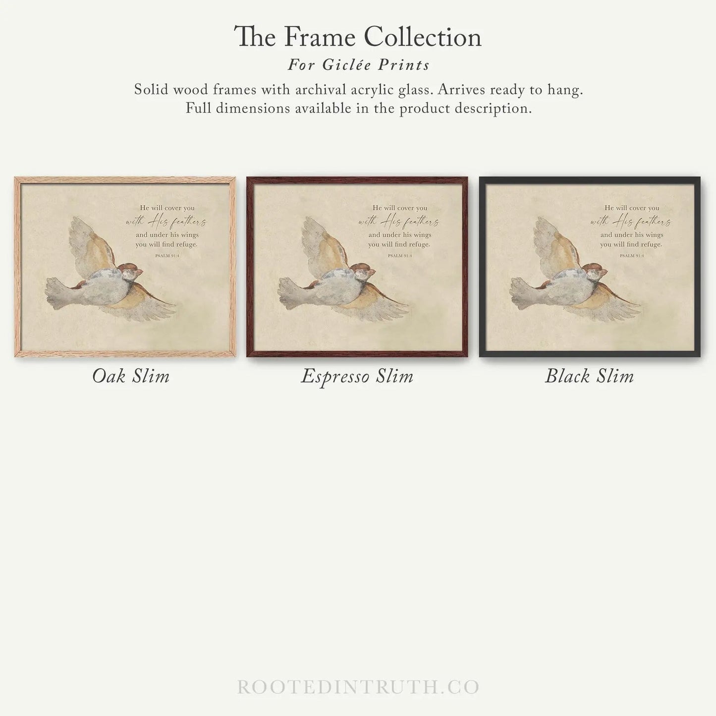 The image is a collection of three framed prints, each with a different color and style, showcasing the frames for giraffe prints.