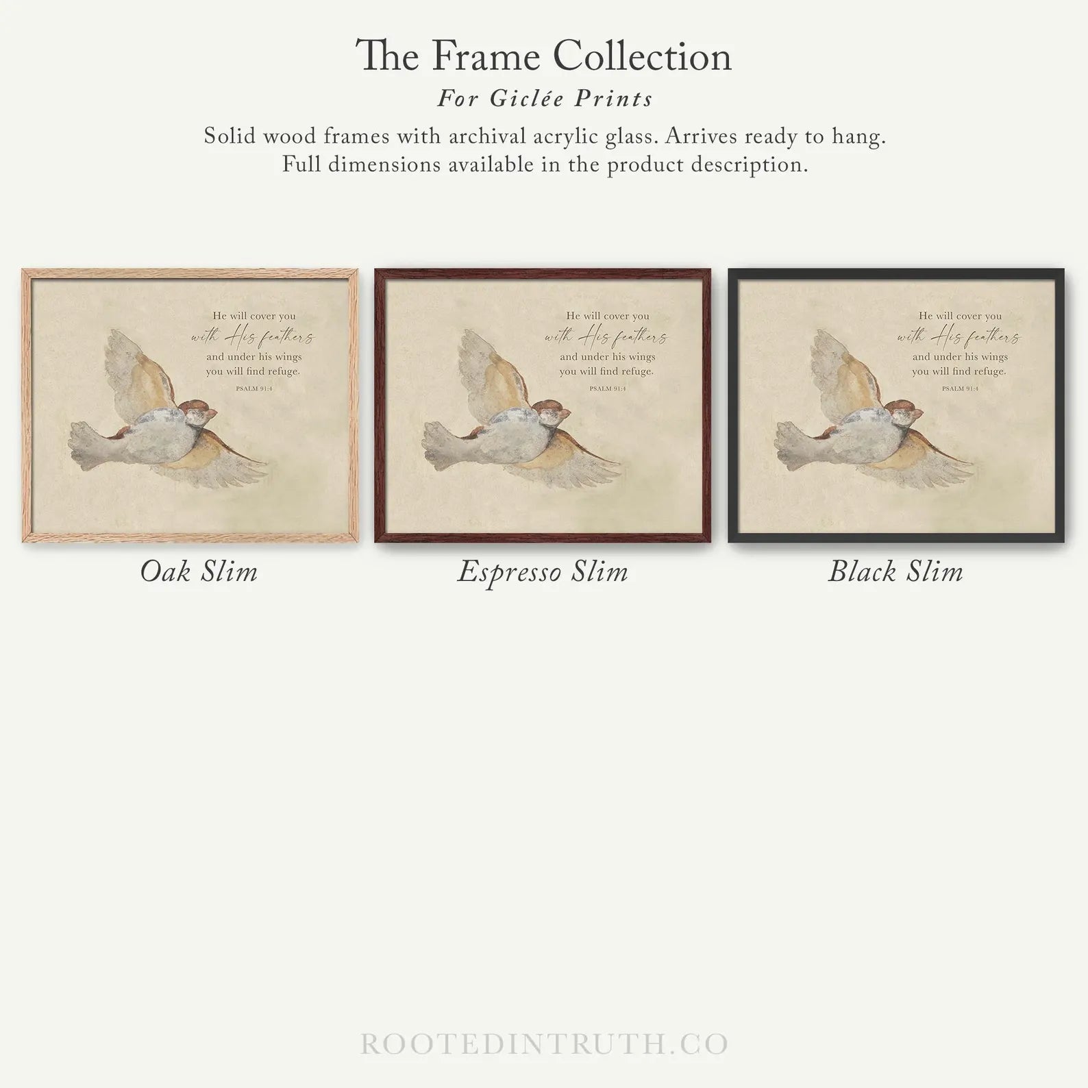 The image is a collection of three framed prints, each with a different color and style, showcasing the frames for giraffe prints.