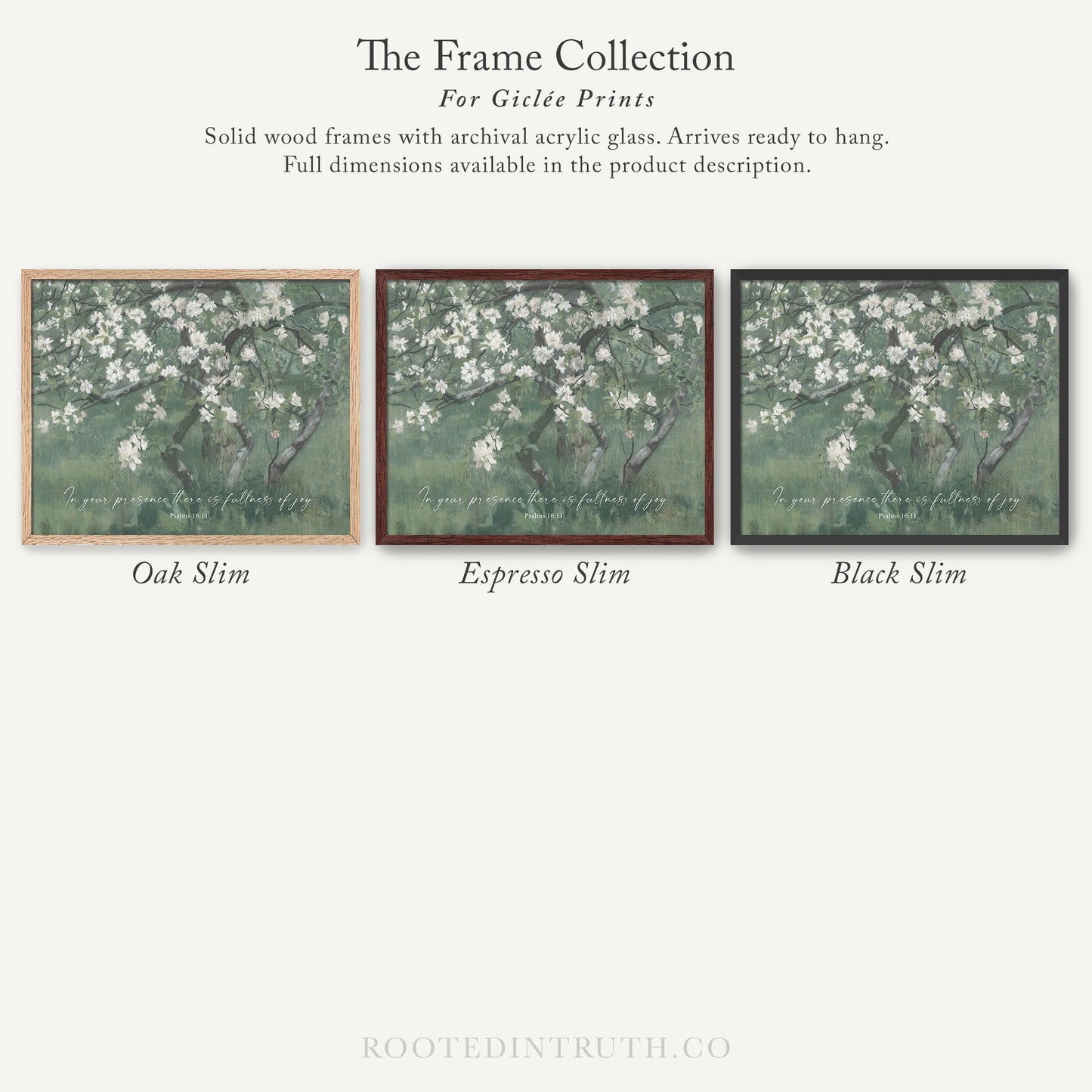 The image is a collection of three framed prints, each with a different color and style, showcasing the variety of options available for purchasing.