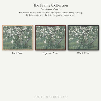 The image is a collection of three framed prints, each with a different color and style, showcasing the variety of options available for purchasing.