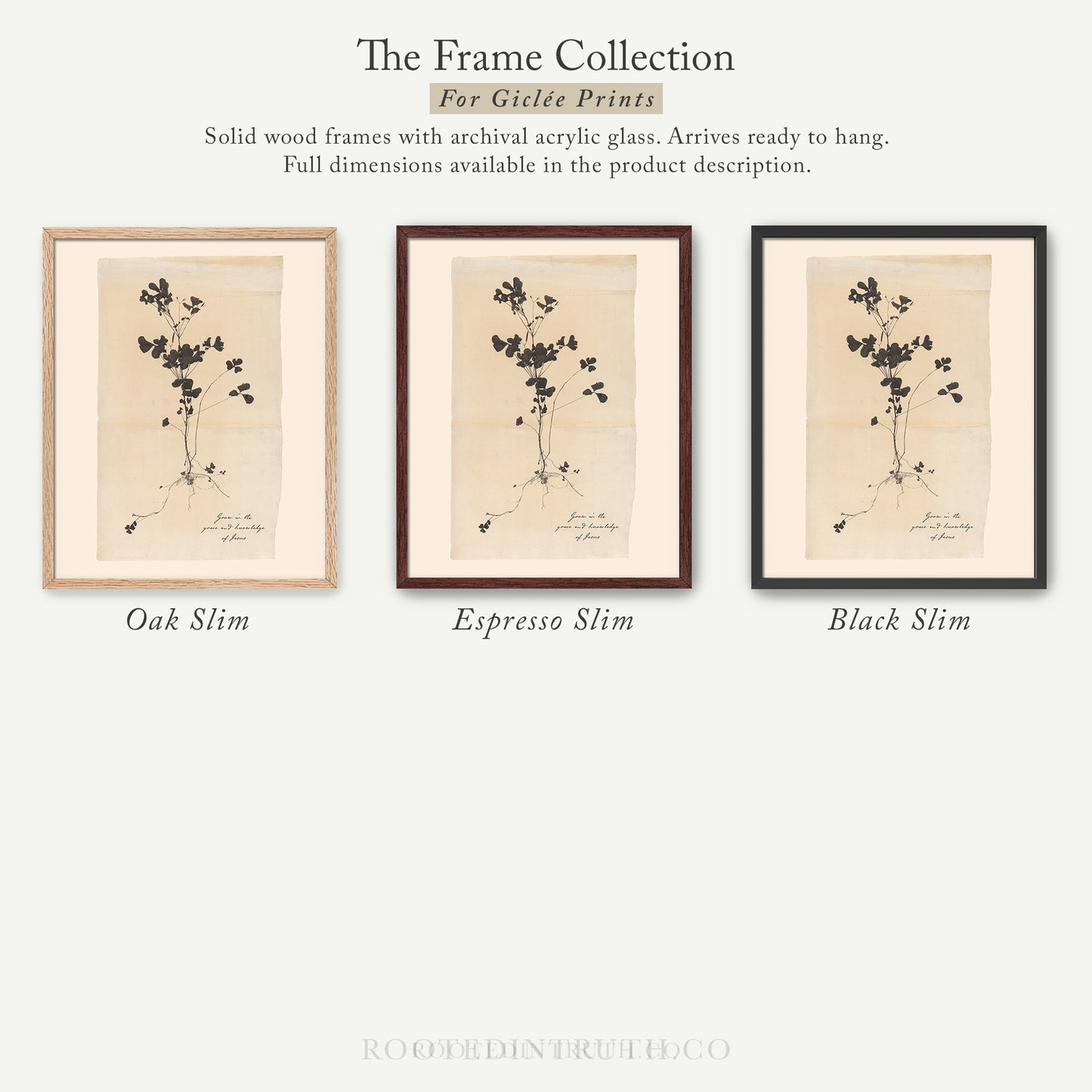 The image is a collection of three framed prints, each with a different color and style, showcasing the variety of the frame collection for giraffe prints.