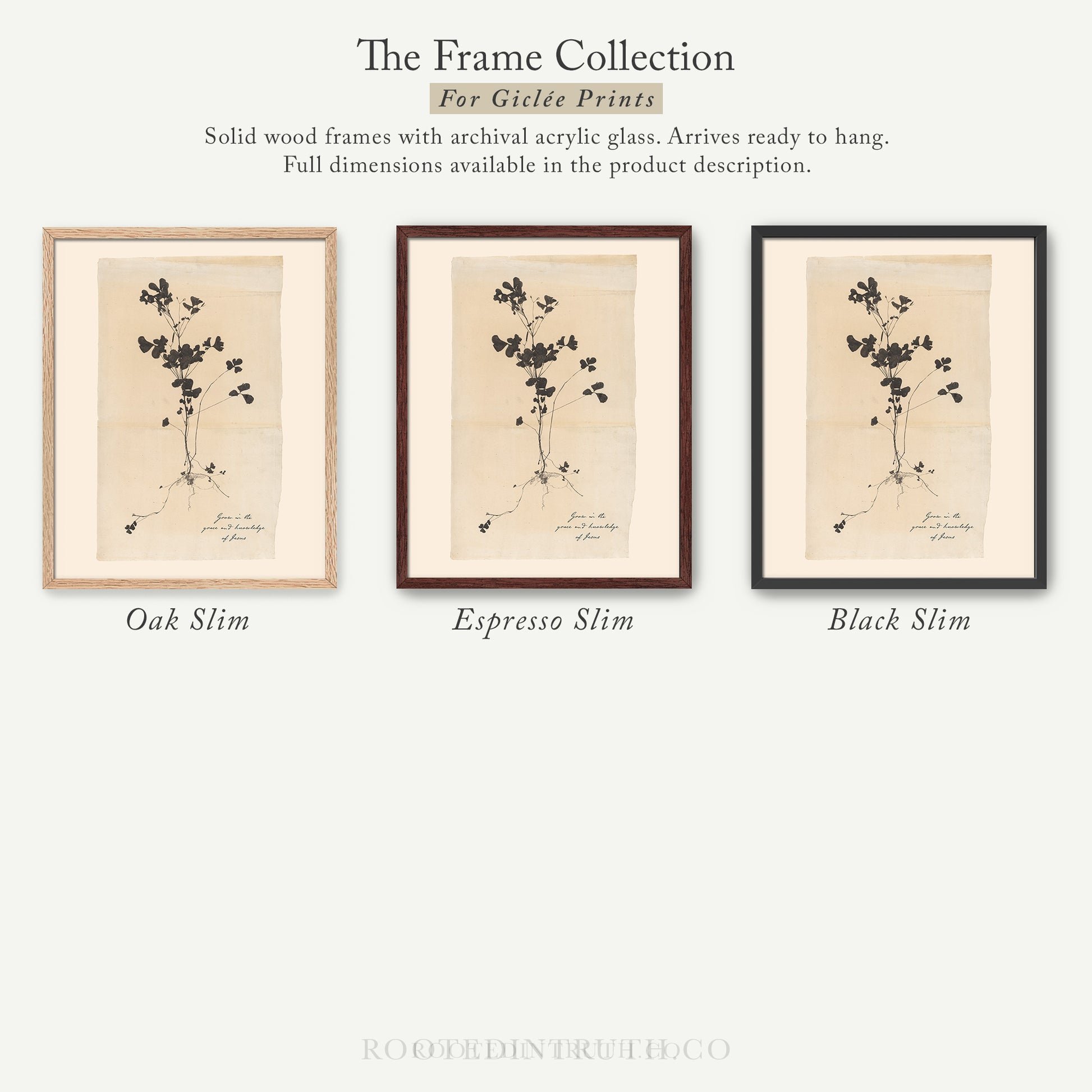 The image is a collection of three framed prints, each with a different color and style, showcasing the variety of the frame collection for giraffe prints.