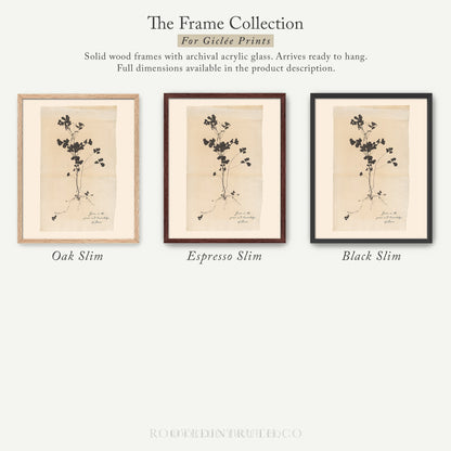 The image is a collection of three framed prints, each with a different color and style, showcasing the variety of the frame collection for giraffe prints.