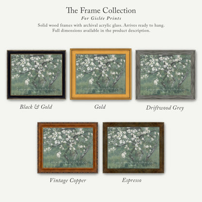 The image is a collection of five framed prints, each with a different color and frame style, showcasing the variety of options available for purchasing or displaying artwork.
