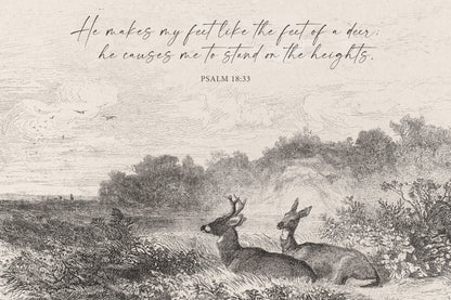 two deer standing in a field, with a text overlay that reads "He makes my feet like the feet of a deer, he causes me to stand on the heights."