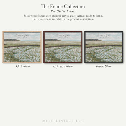 three framed pictures of a field of flowers