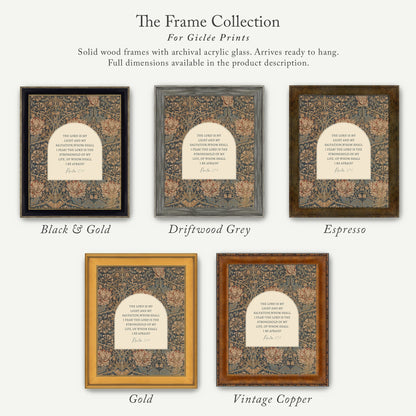 The image is a collection of five framed prints, each with a different color and frame style, showcasing the various options available for purchasing.