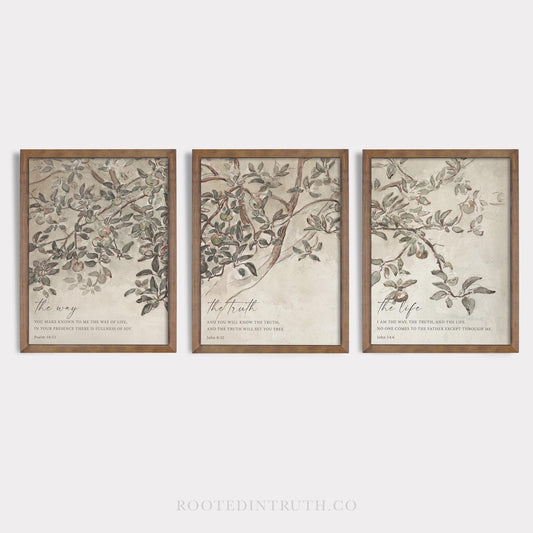 a set of three framed paintings of a tree