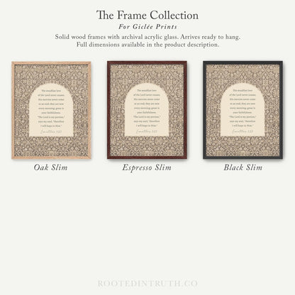 The image is a collection of three framed prints, each with a different color and design, arranged in a row.