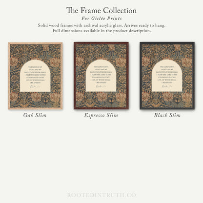 The image is a collection of three framed prints, each with a different color and design, arranged in a row.