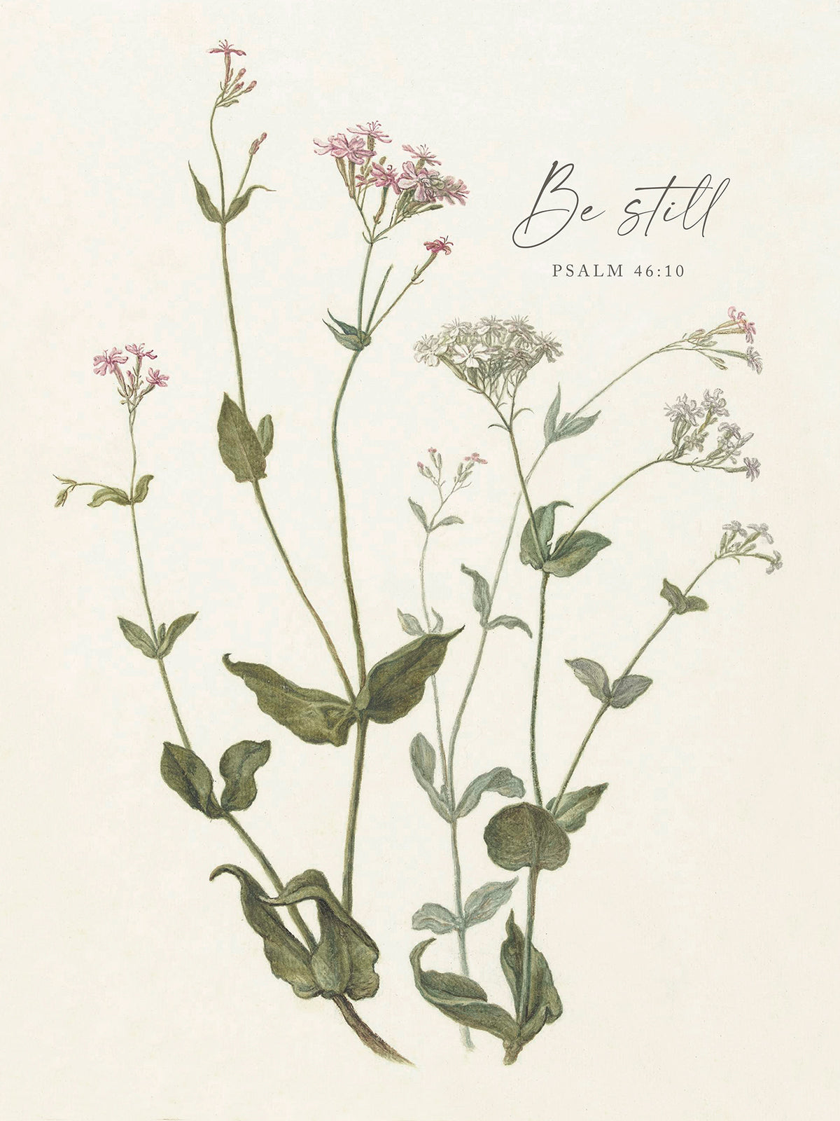 Be Still Botanical Art Print & Canvas