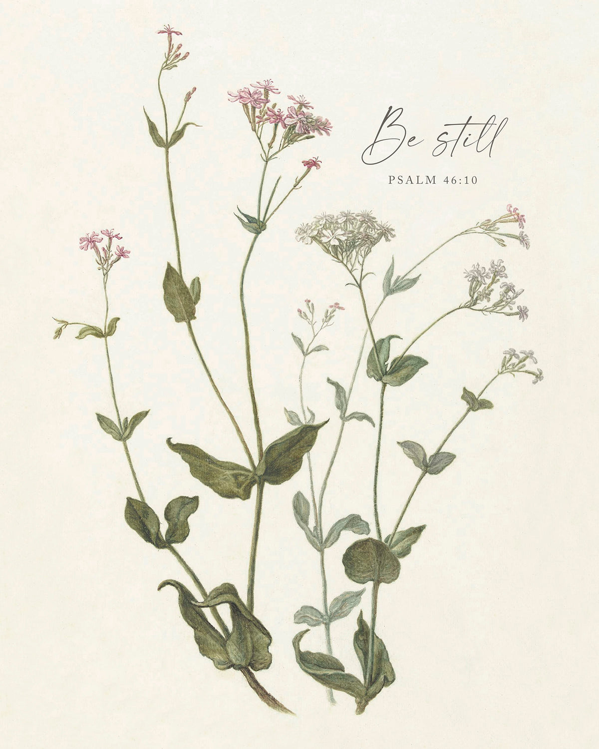 Be Still Botanical Art Print & Canvas