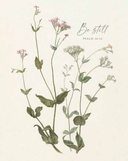Be Still Botanical Art Print & Canvas
