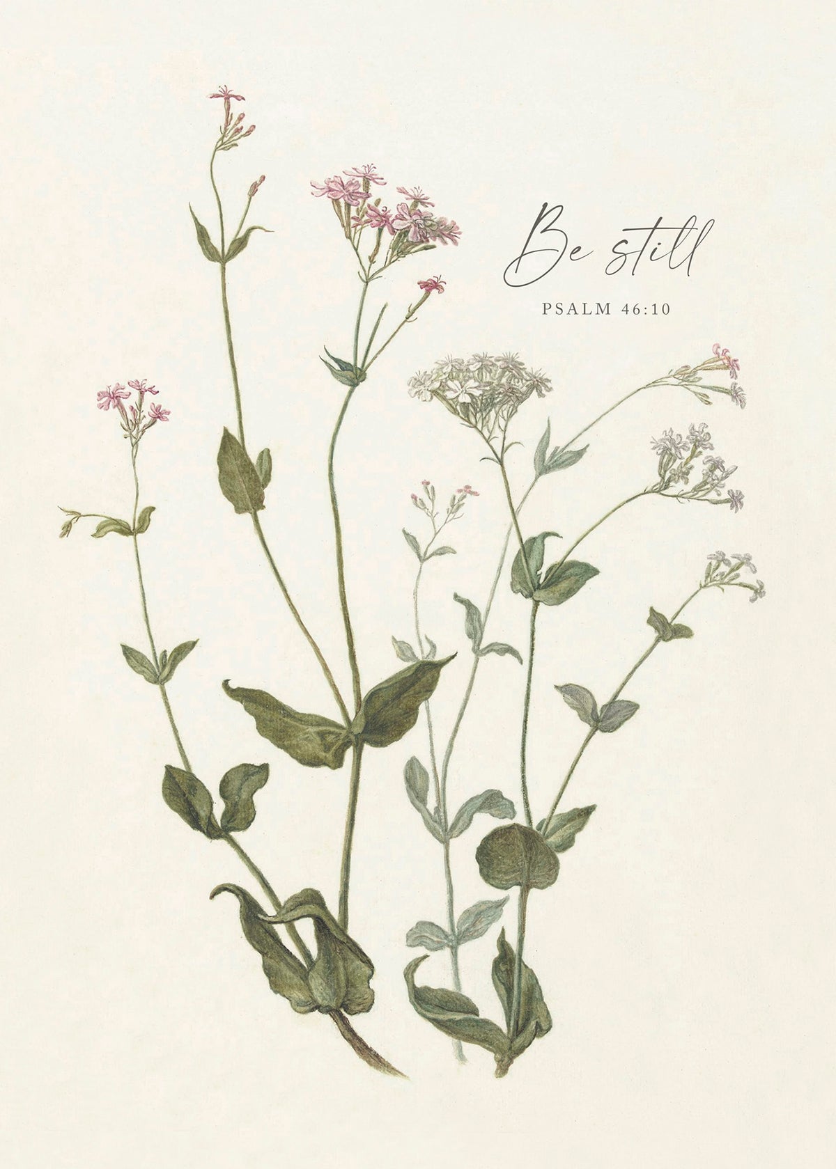 Be Still Botanical Art Print & Canvas
