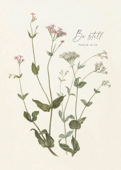 Be Still Botanical Art Print & Canvas