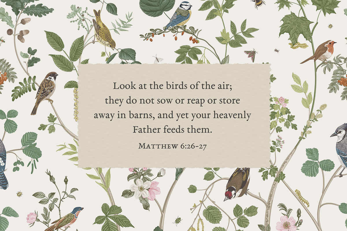 Look at the Birds Art Print & Canvas