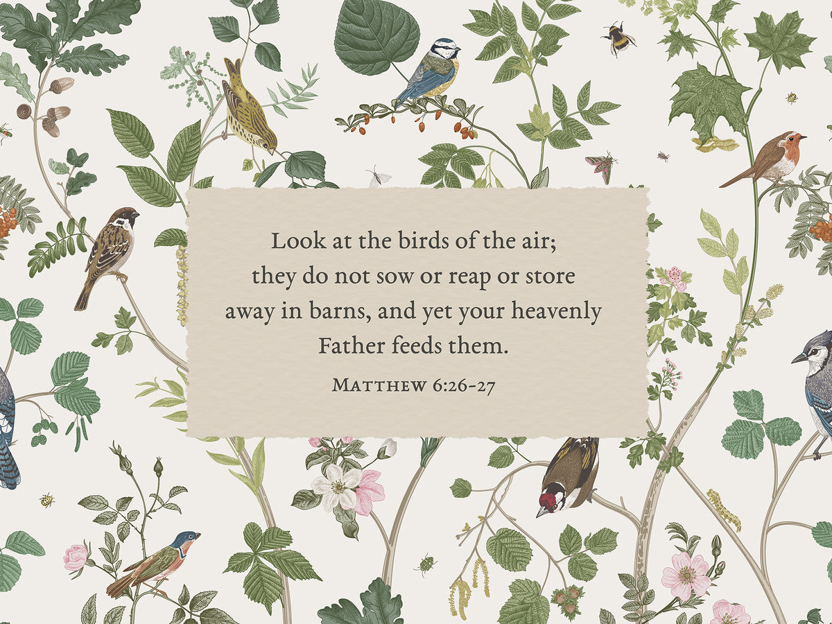 Look at the Birds Art Print & Canvas