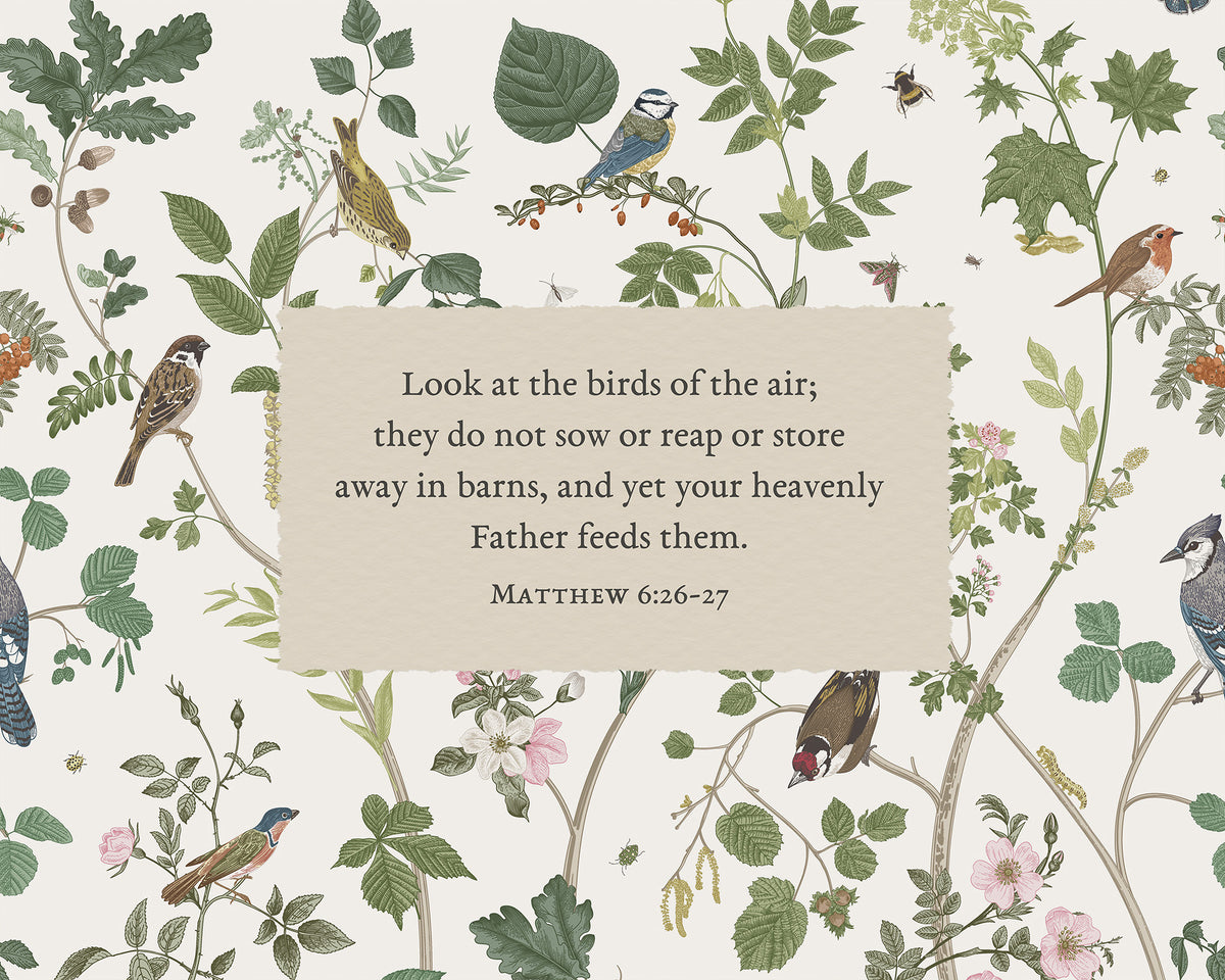 Look at the Birds Art Print & Canvas