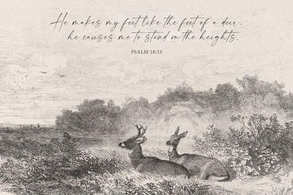 Feet Like a Deer Art Print & Canvas