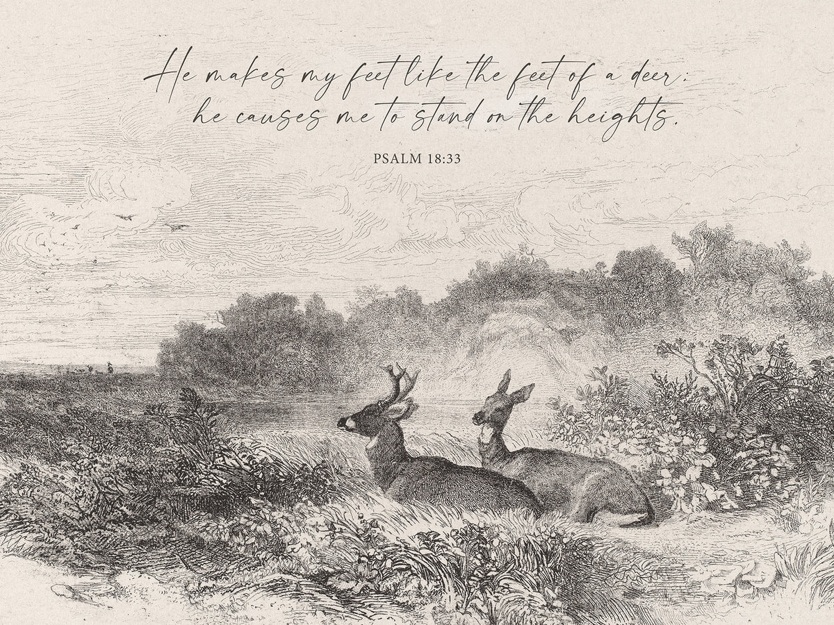 Feet Like a Deer Art Print & Canvas