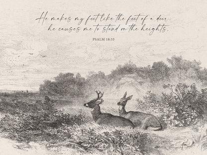 Feet Like a Deer Art Print & Canvas
