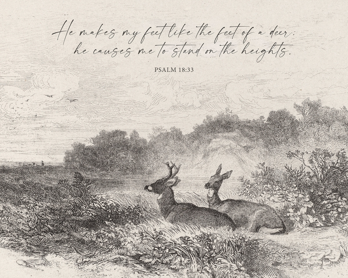 Feet Like a Deer Art Print & Canvas