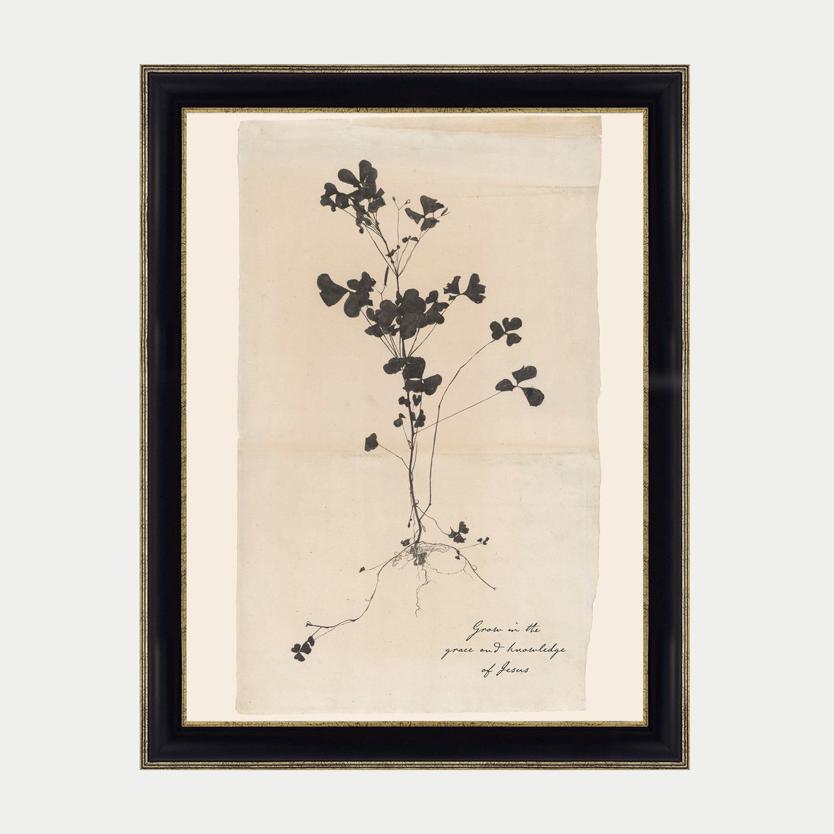 Grow in Grace Art Print & Canvas