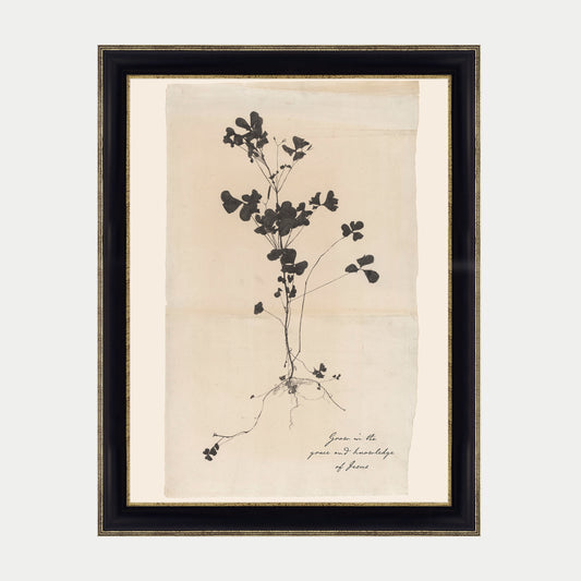 Grow in Grace Art Print & Canvas