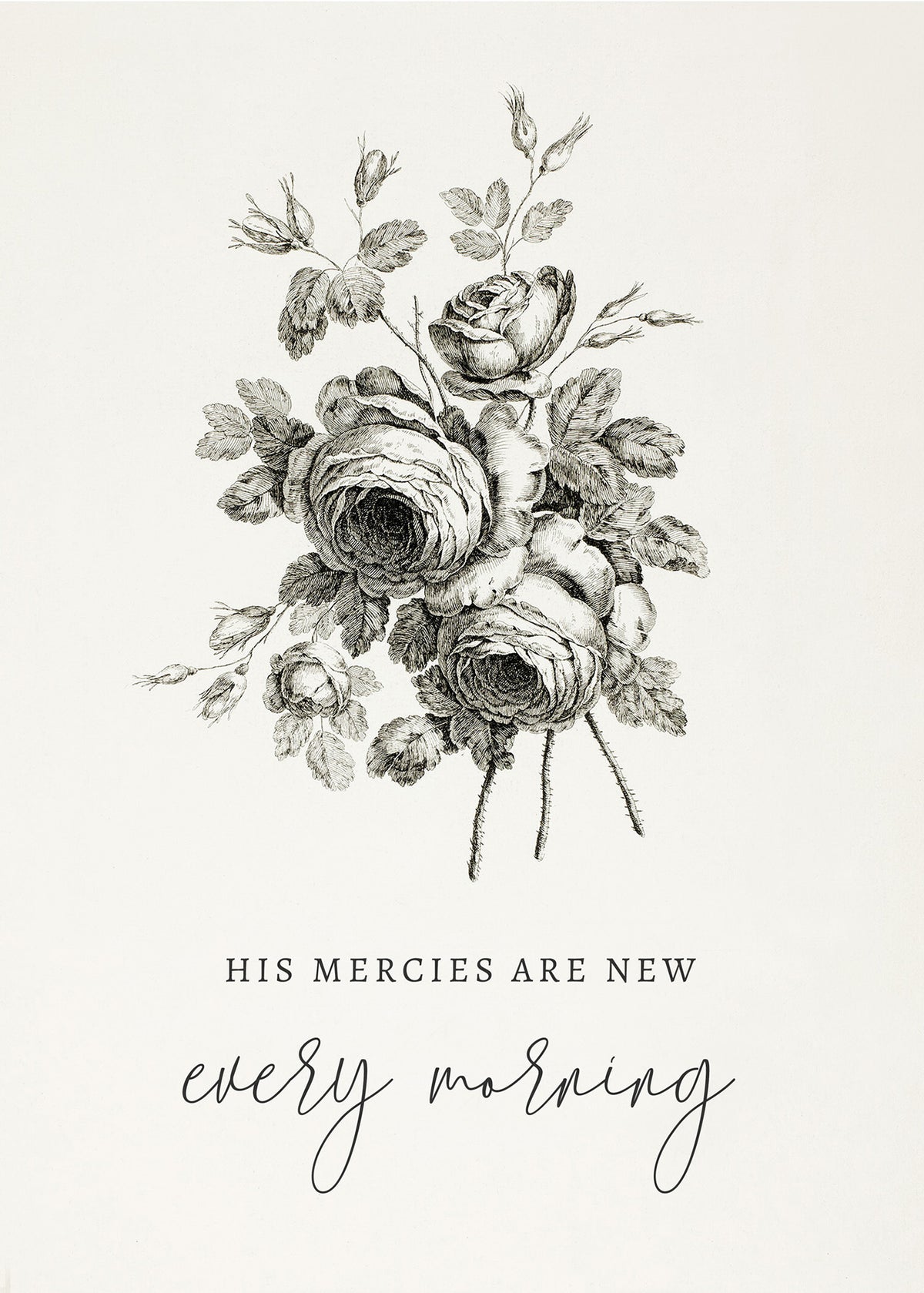 His Mercies Are New Roses Art Print & Canvas