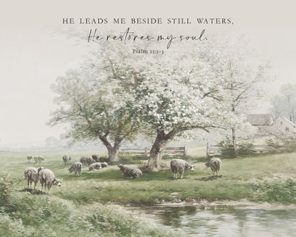 Still Waters Art Print & Canvas