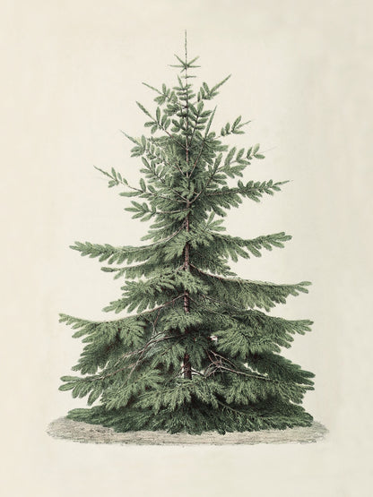 Vintage Christmas Tree Art Print & Canvas