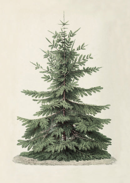 Vintage Christmas Tree Art Print & Canvas