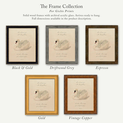 The image is a collection of five framed prints, each with a different color and frame style, showcasing the variety of options available for purchasing or displaying artwork.